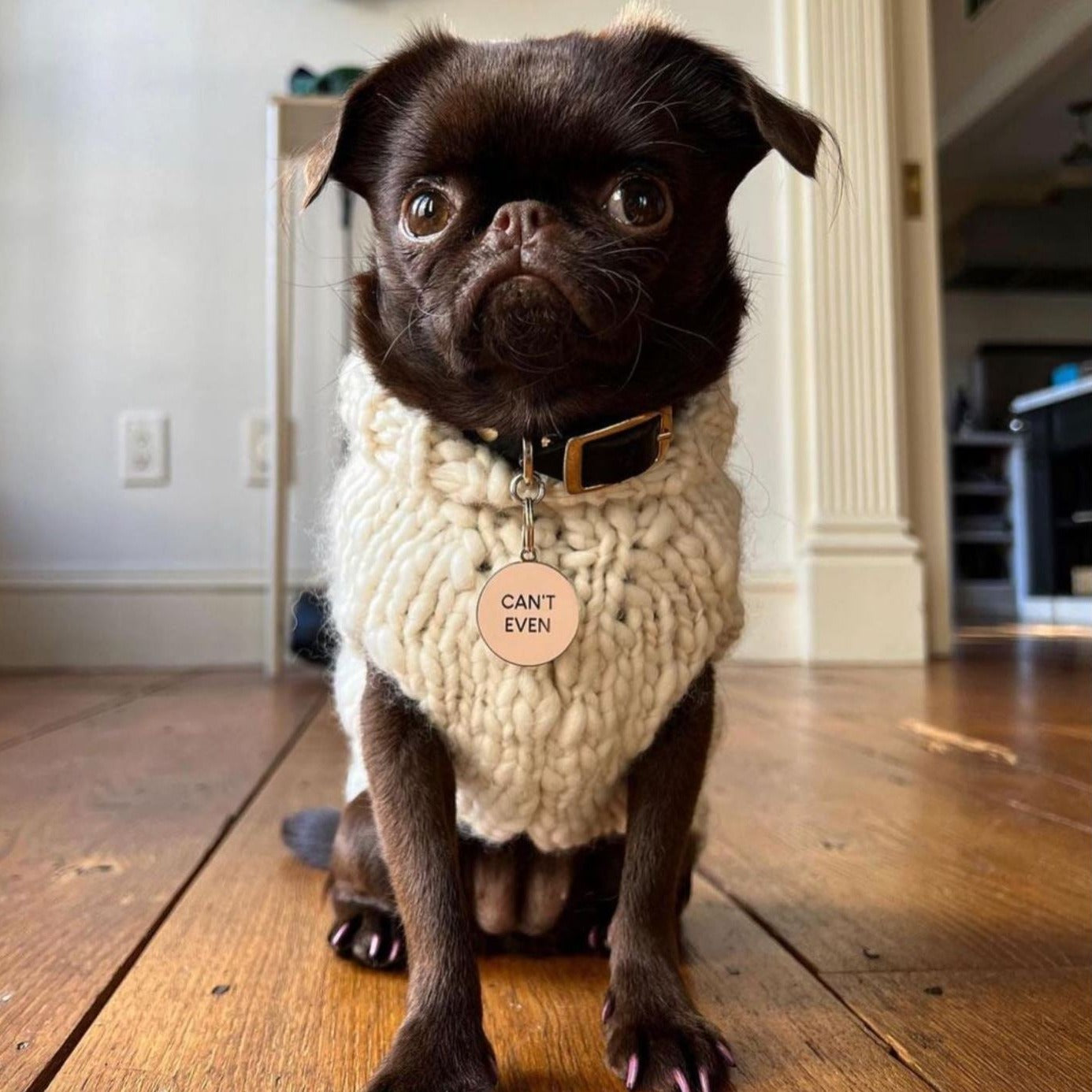 Can't Even Pet Id Tag