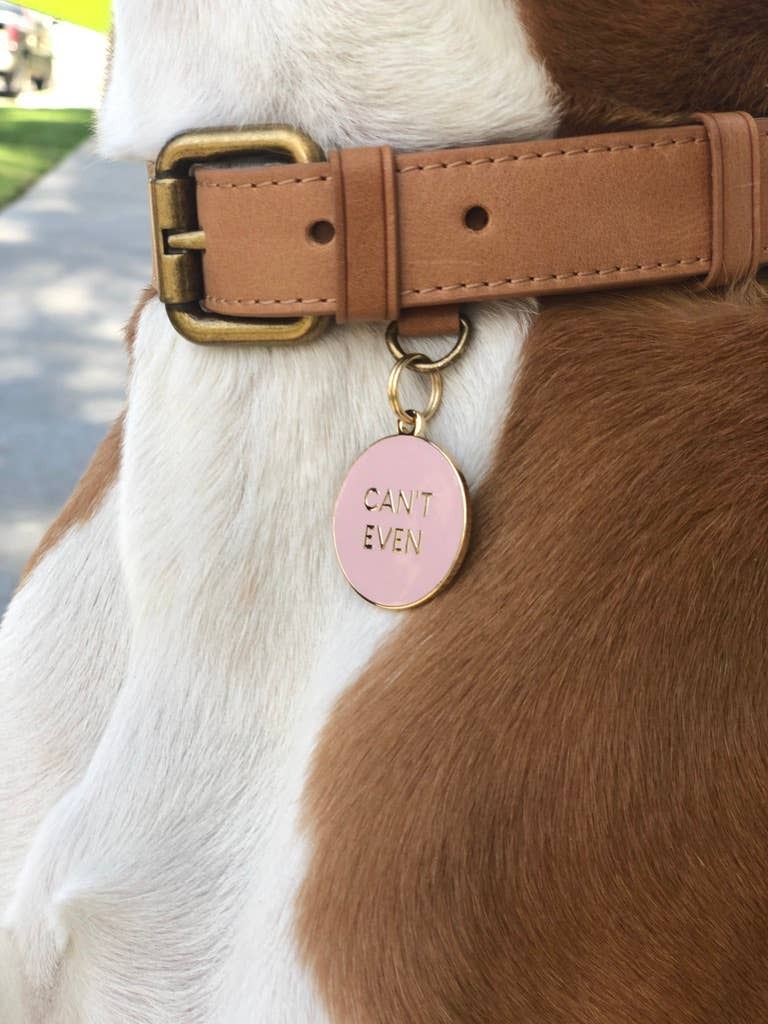 Can't Even Pet Id Tag