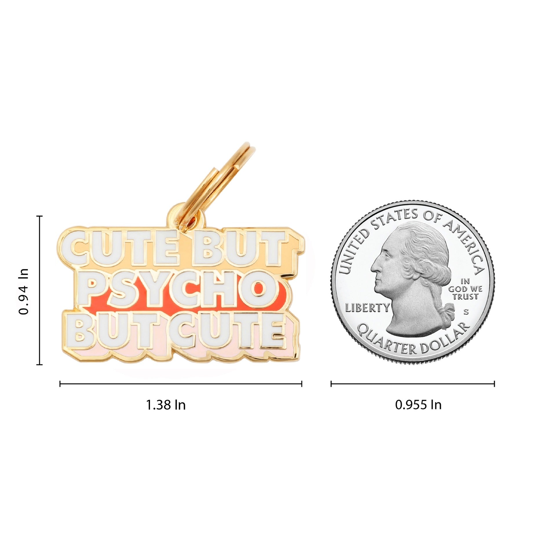 Cute But Psycho Pet Id Tag