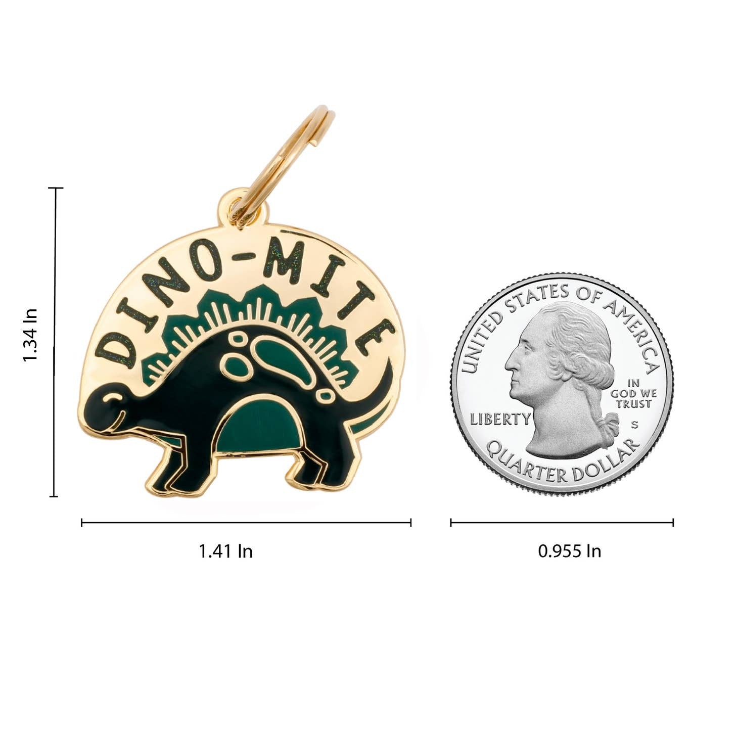 Dino-Mite Pet Id Tag
