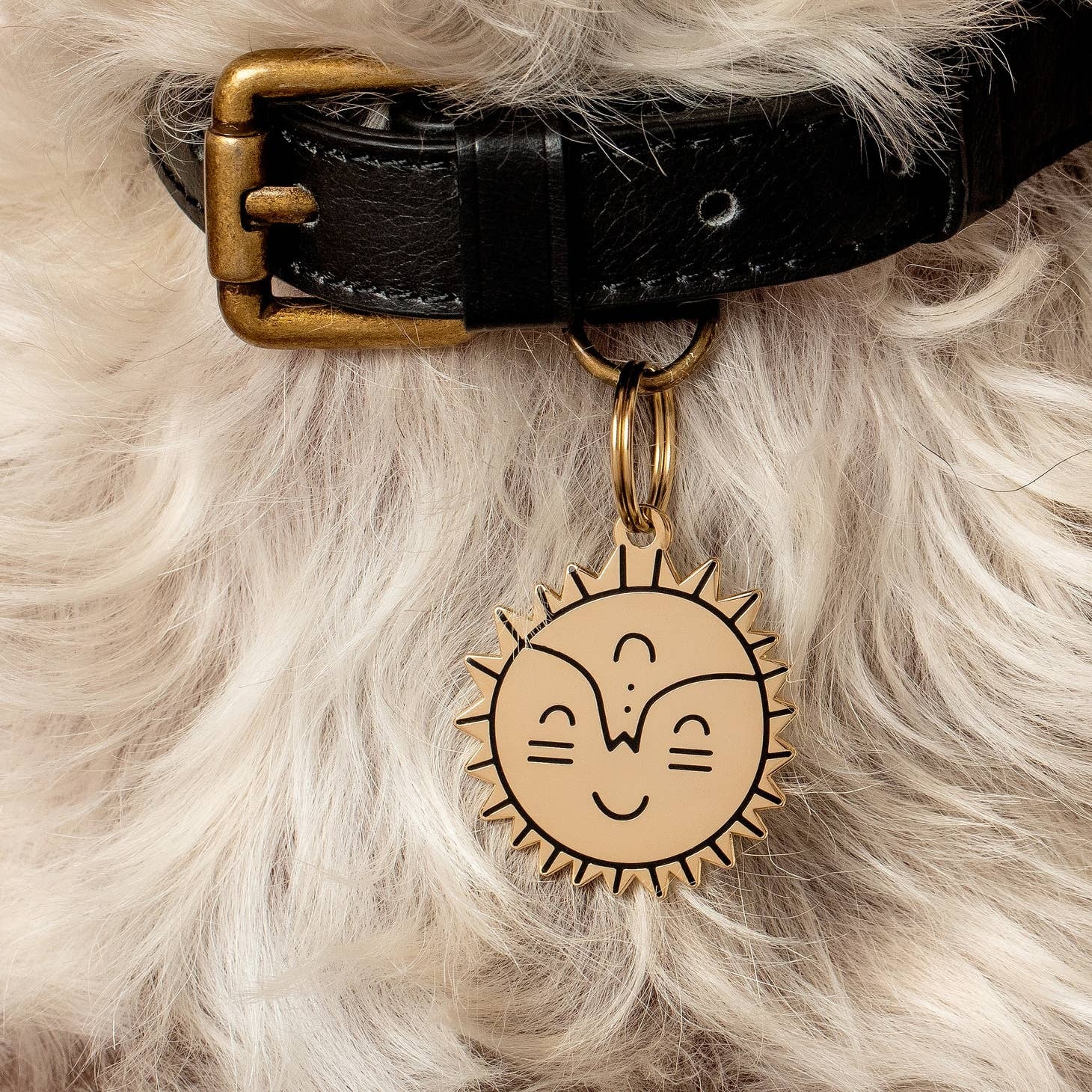 Smiling Sun Pet Id Tag