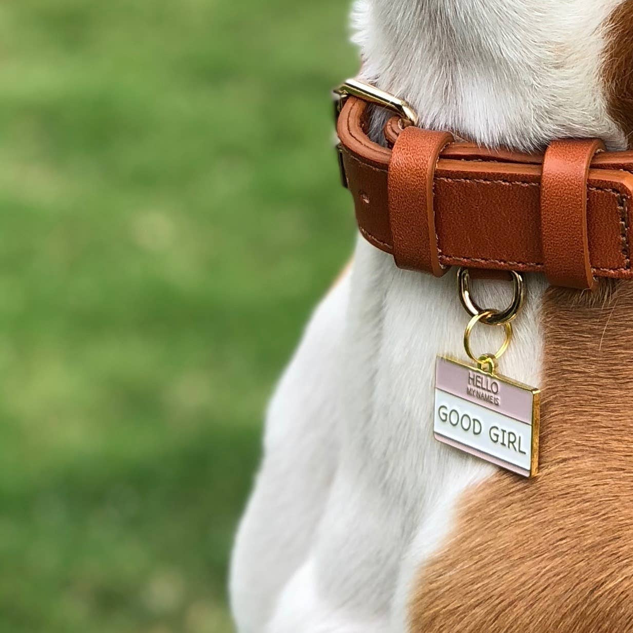 Good Girl Pet Id Tag