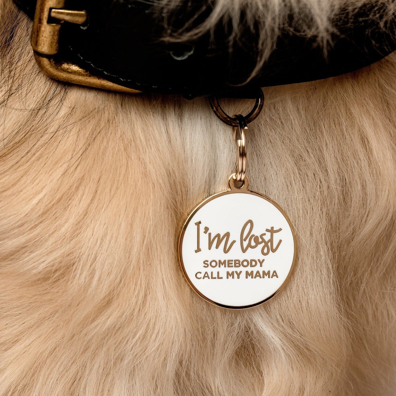 White I'm Lost, Somebody Call My Mama Pet Id Tag