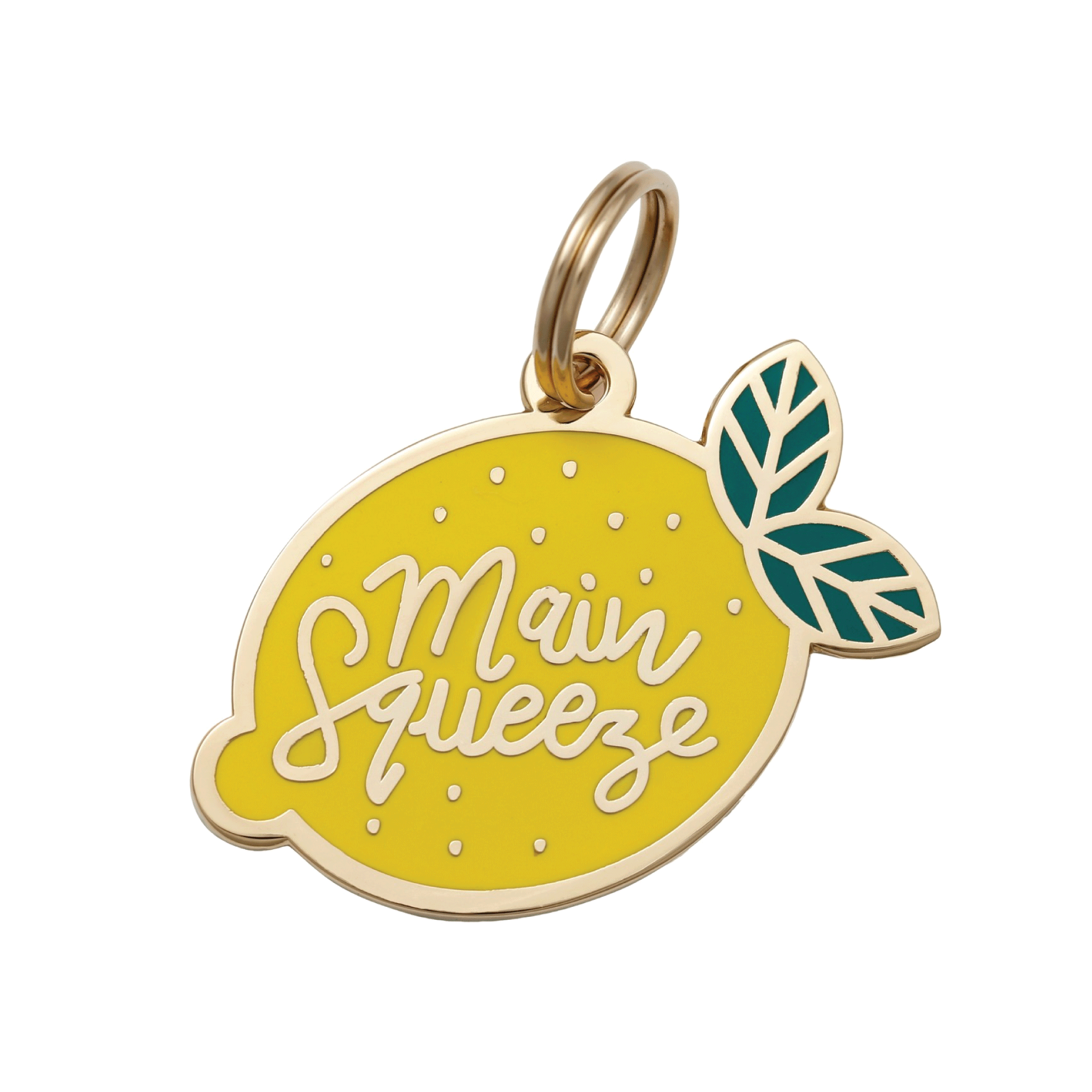 Main Squeeze Pet Id Tag