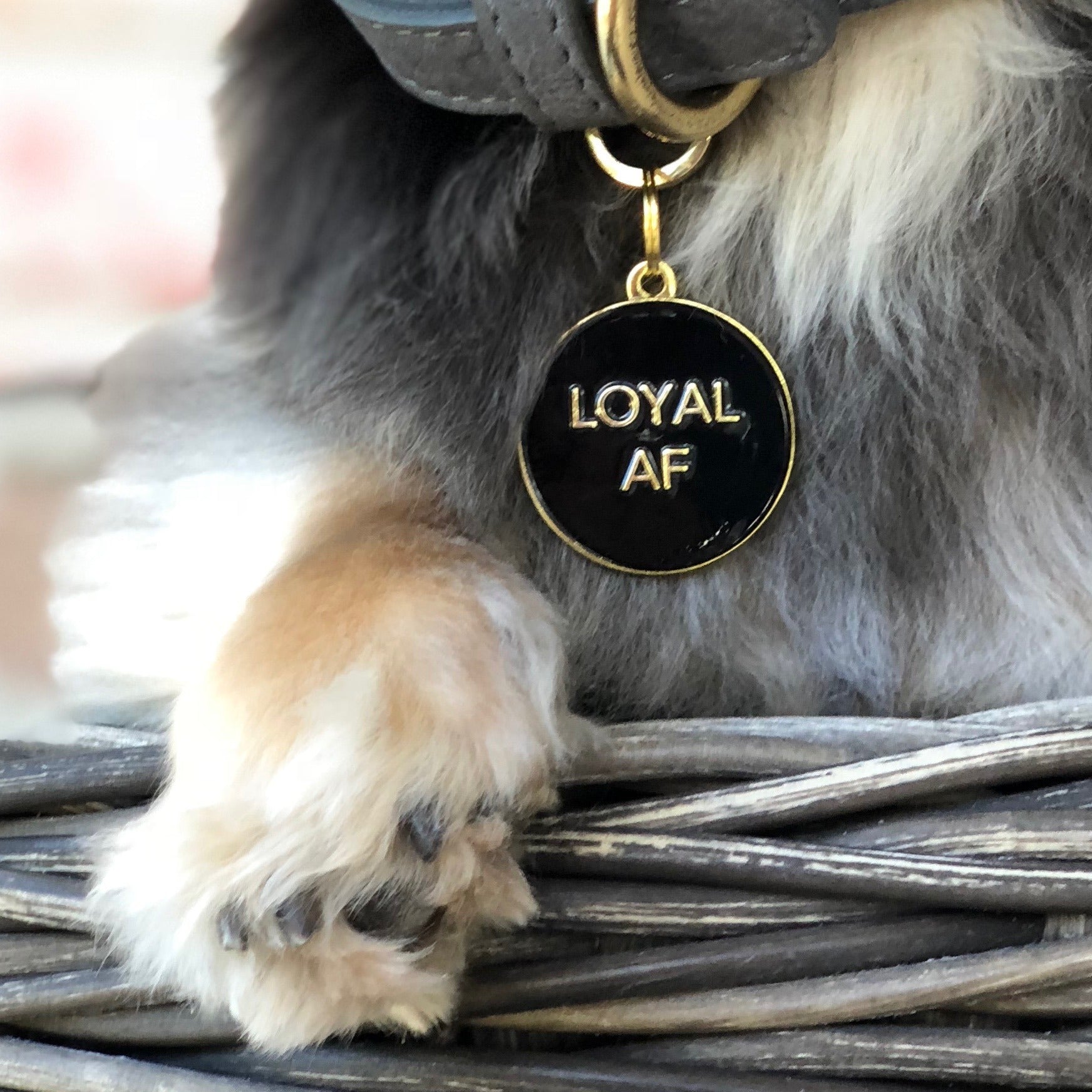 Loyal Af Pet Id Tag in Black
