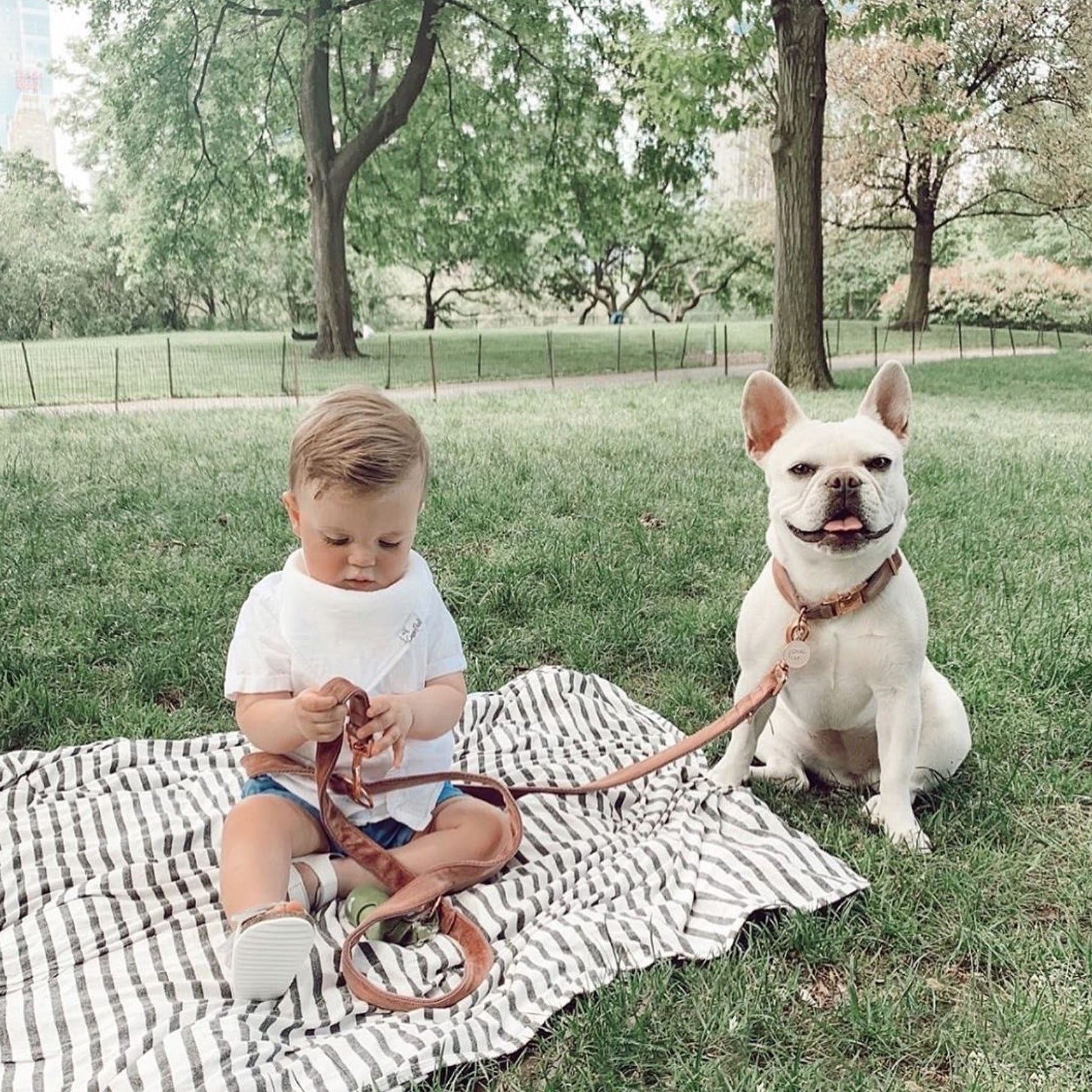 Loyal Af Pet Id Tag in Blush