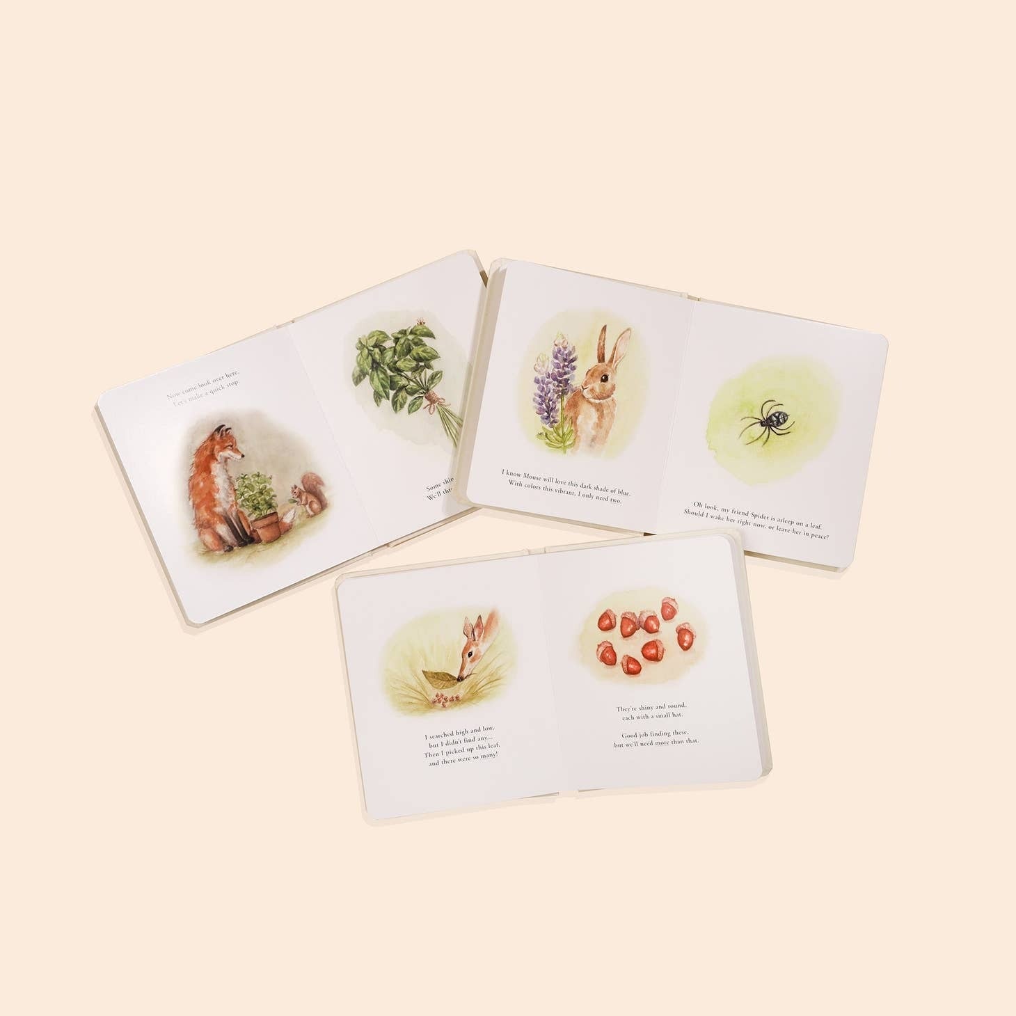 Our Little Adventures Boxed Book Set