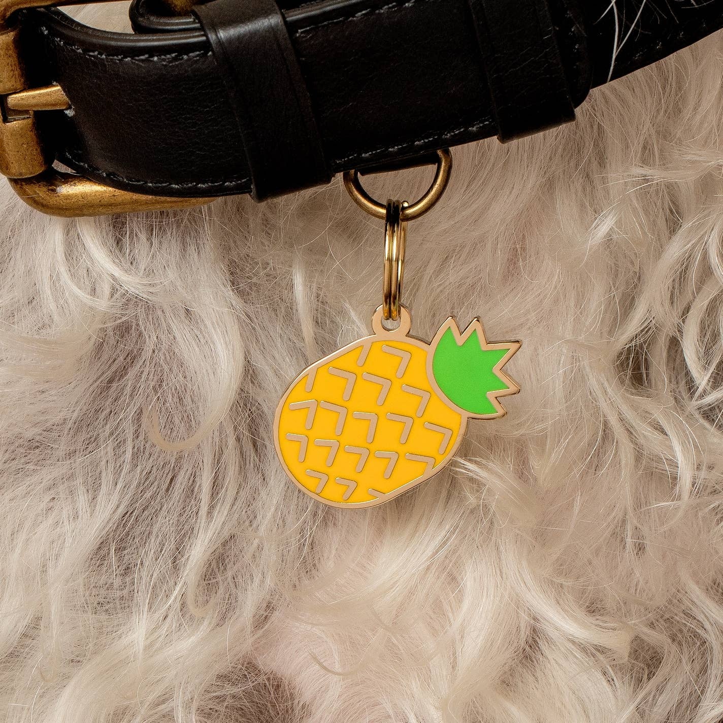 Pineapple Pet Id Tag