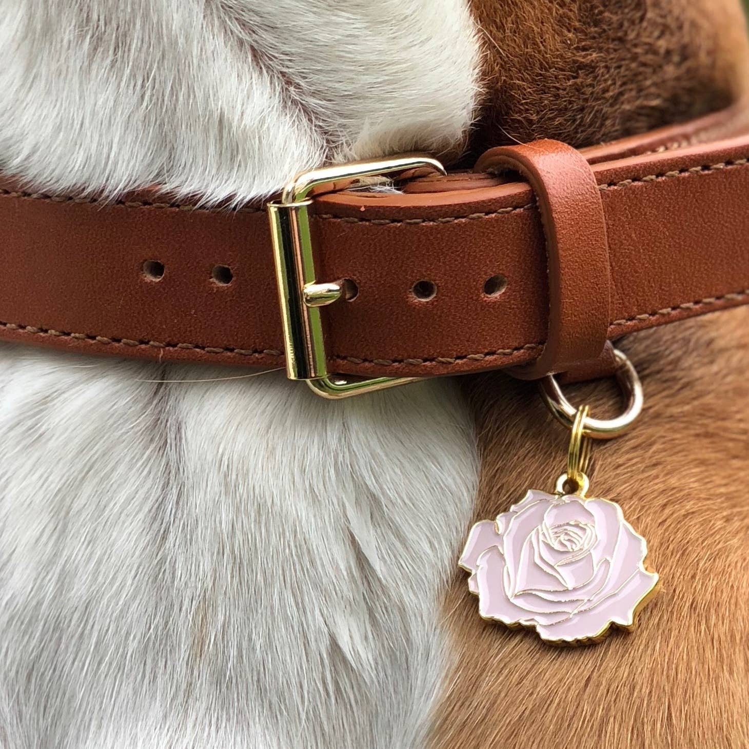 Pink Rose Pet ID Tag