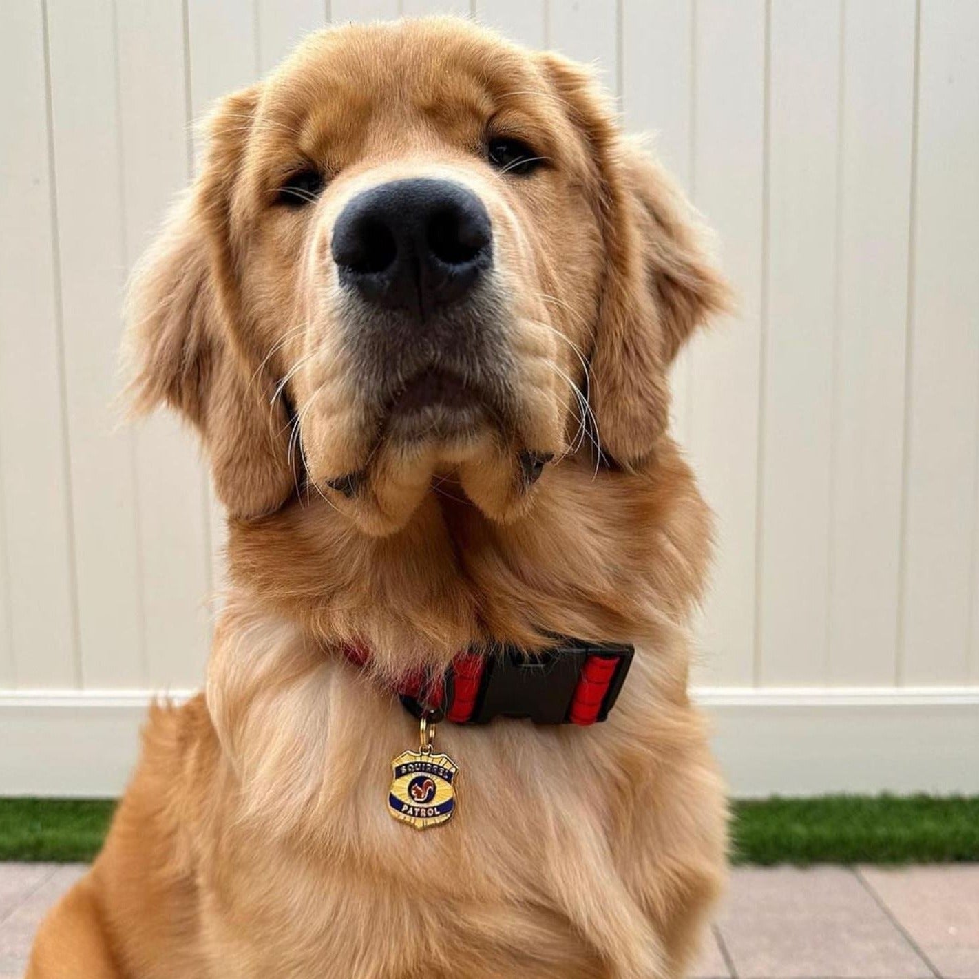 Squirrel Patrol Pet Id Tag