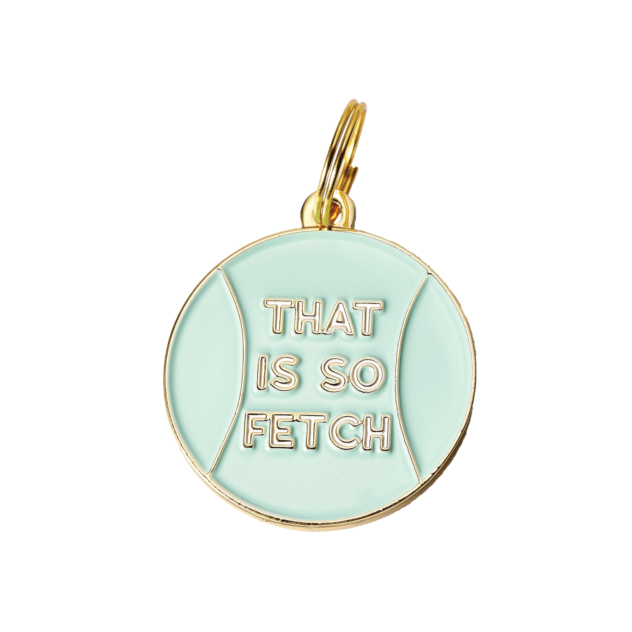 That Is So Fetch Pet Id Tag