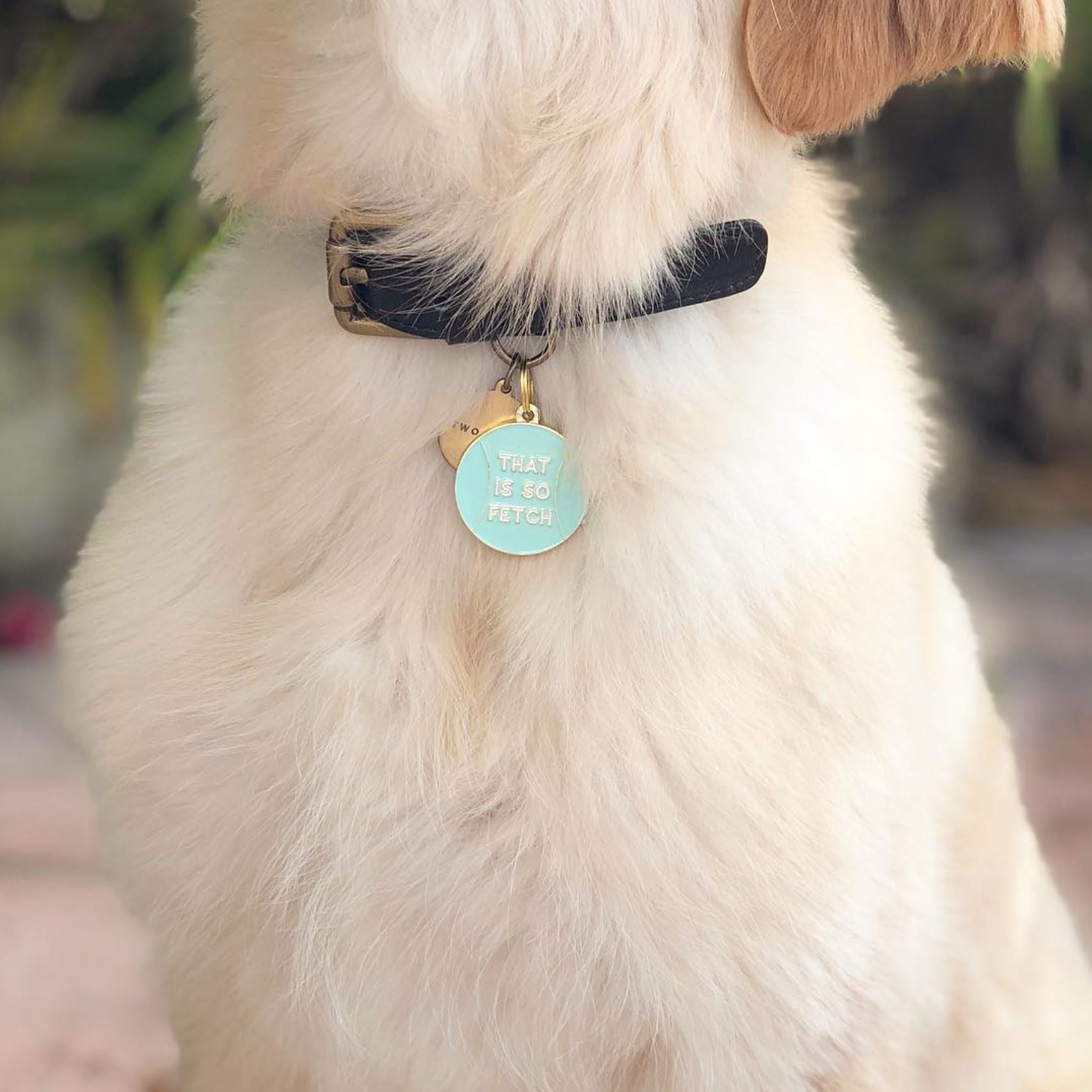 That Is So Fetch Pet Id Tag