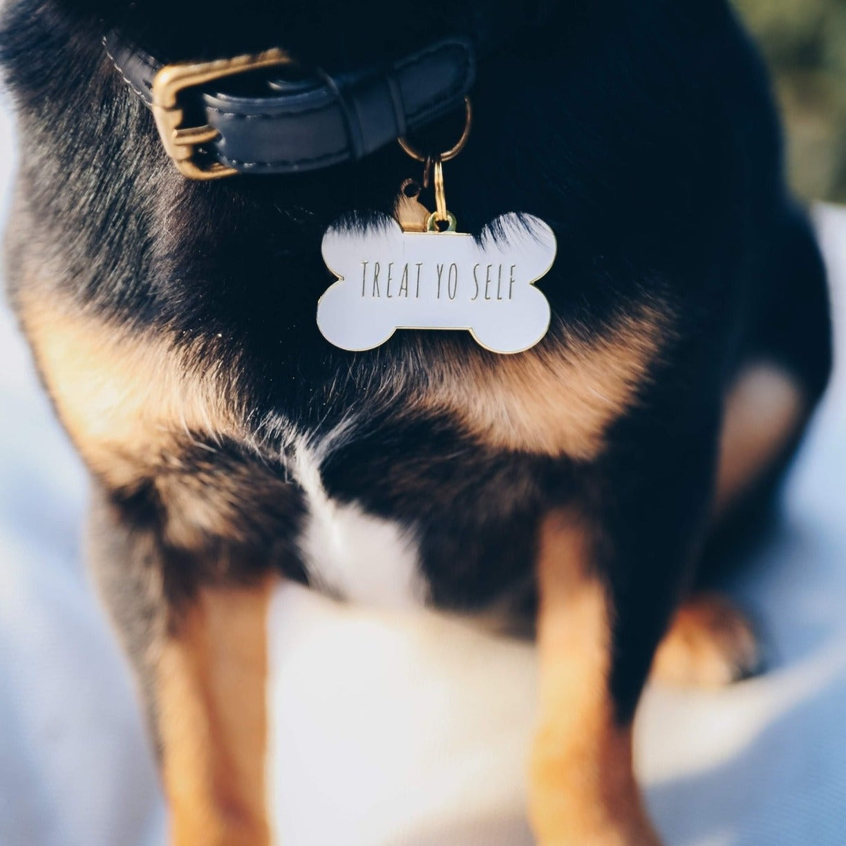 White Treat Yo Self Pet Id Tag