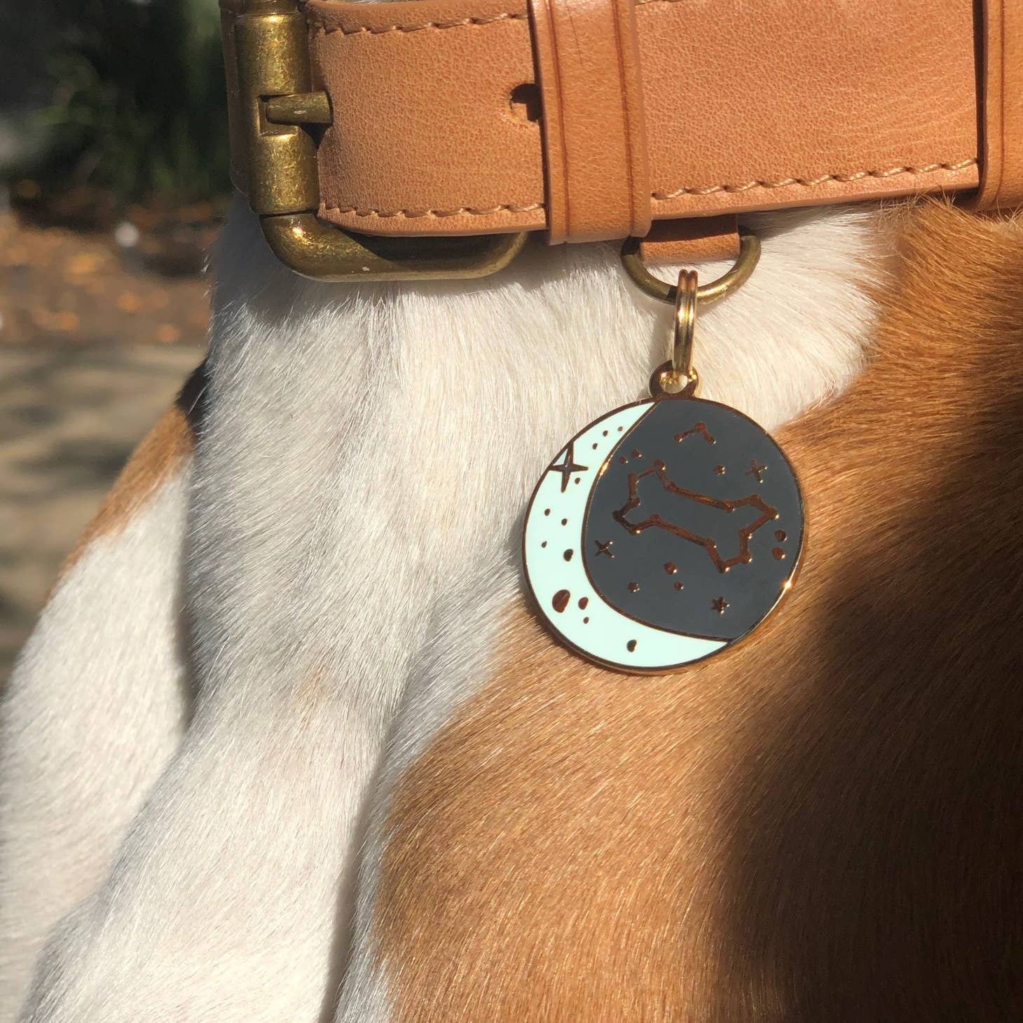 Zodiac Pet Id Tag