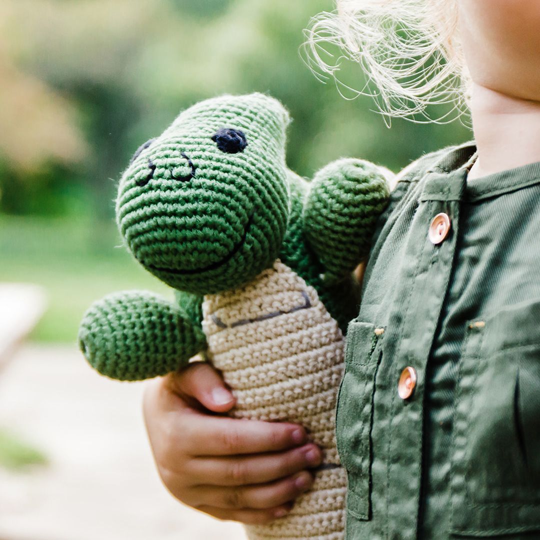 Organic Crocheted Green Dragon