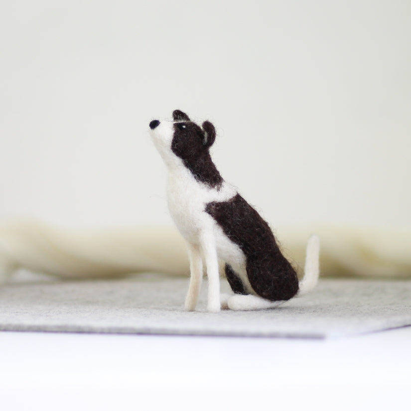 Border Collie Needle Felting Kit