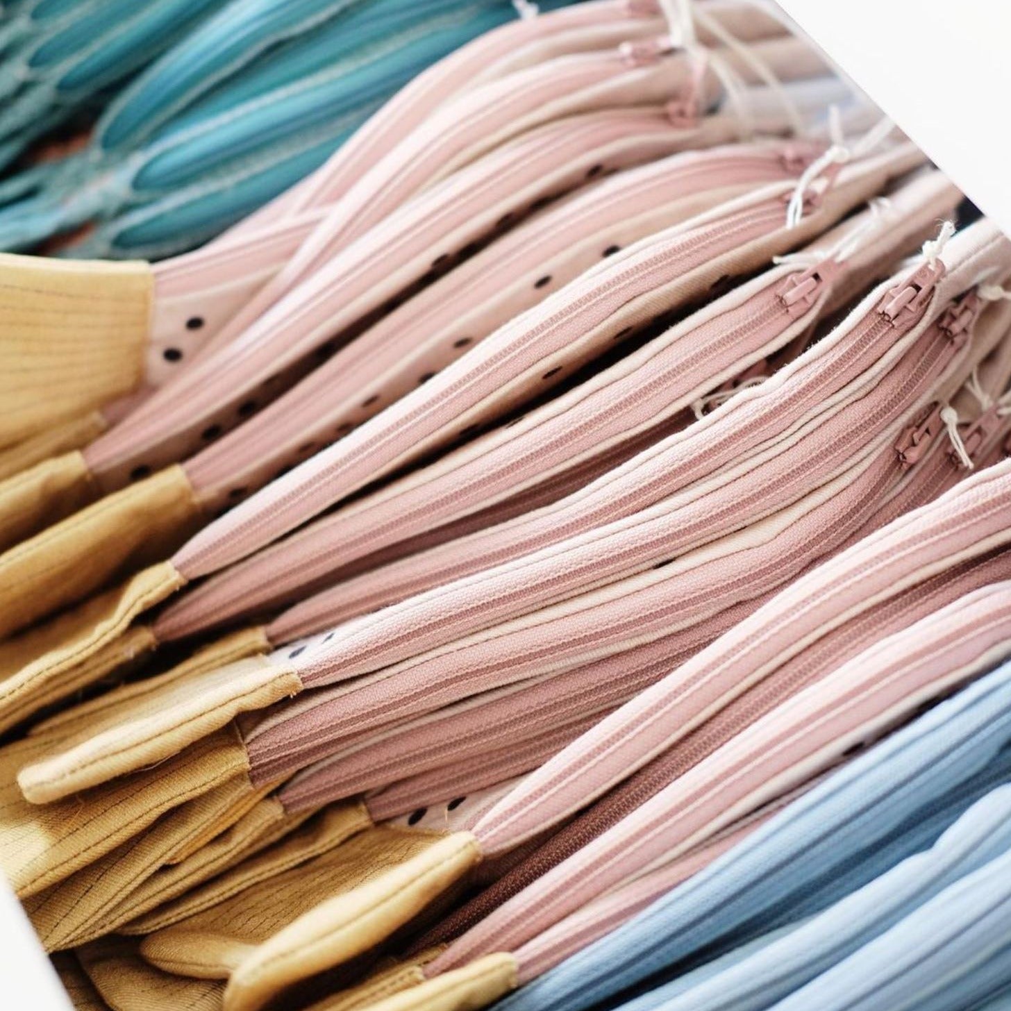 Circular Batfish Case