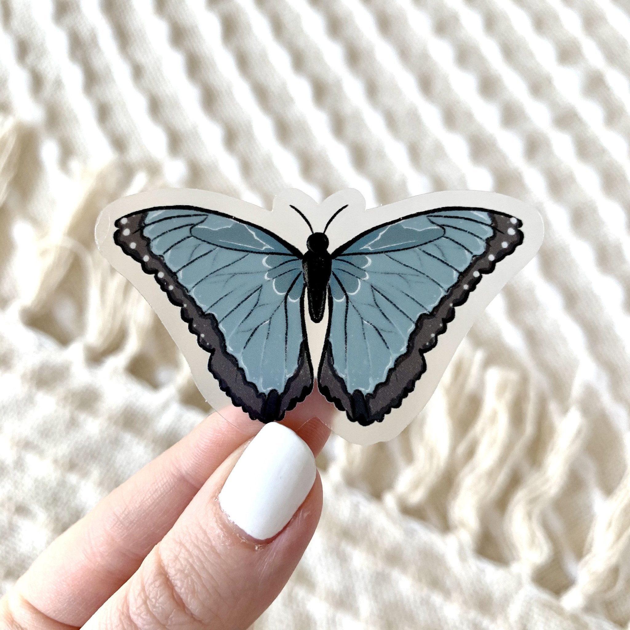 Clear Common Blue Morpho Butterfly Sticker