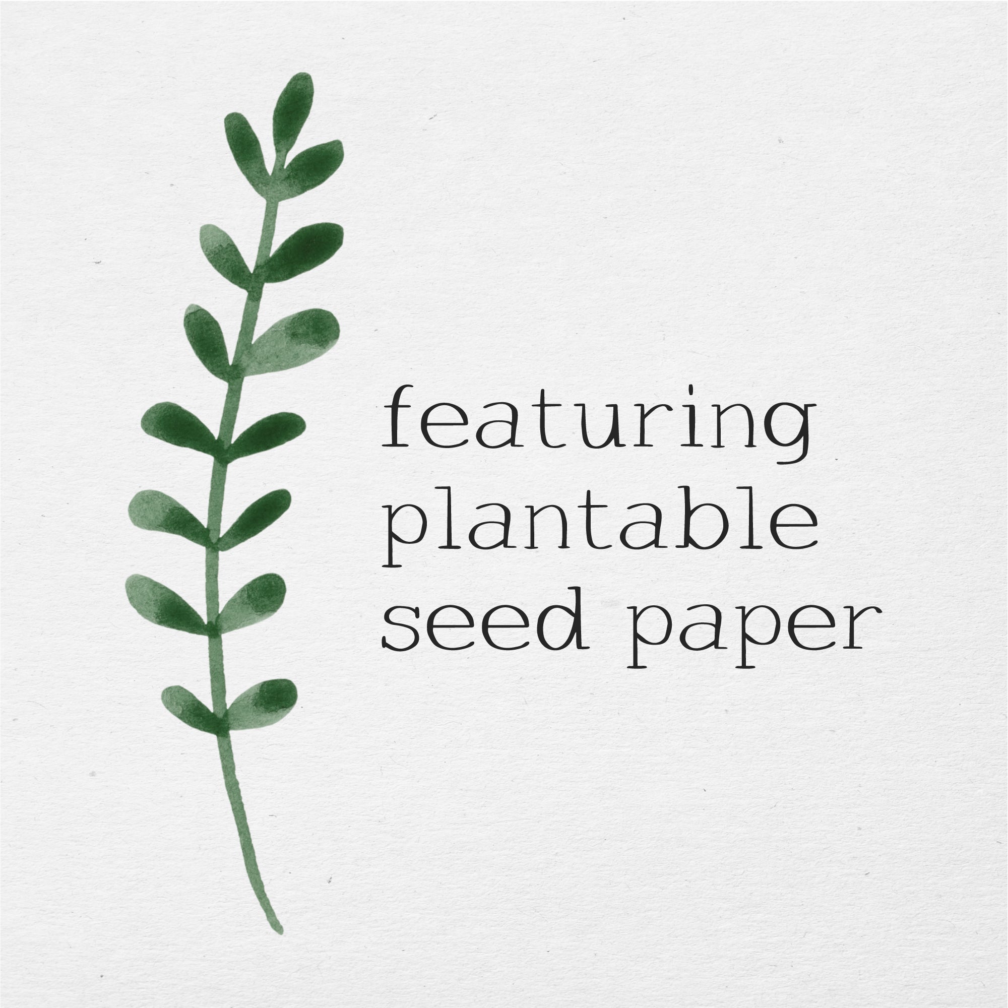 Joy & Peace - Plantable Card