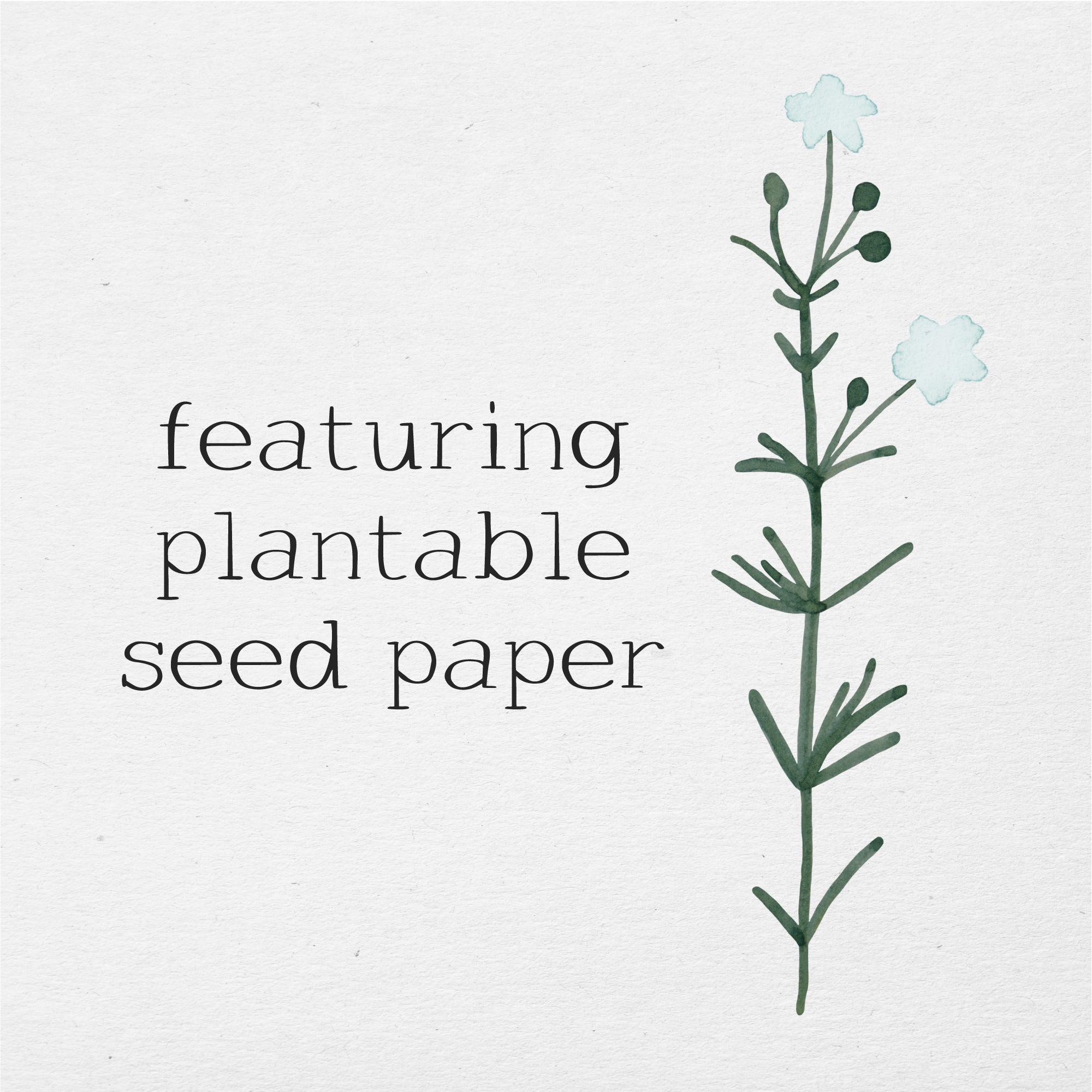 Really Glad You Were Born - Plantable Card