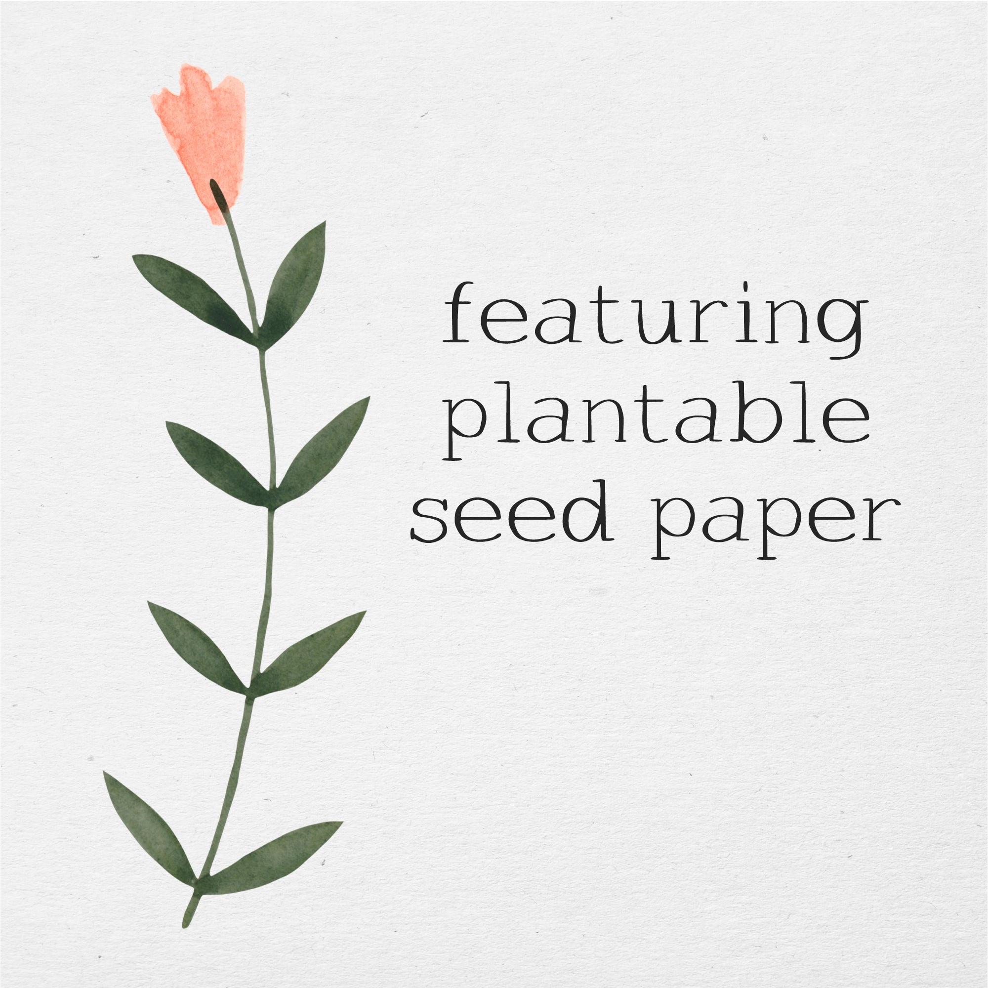 Sometimes You Need to Change Your Perspective - Plantable Card