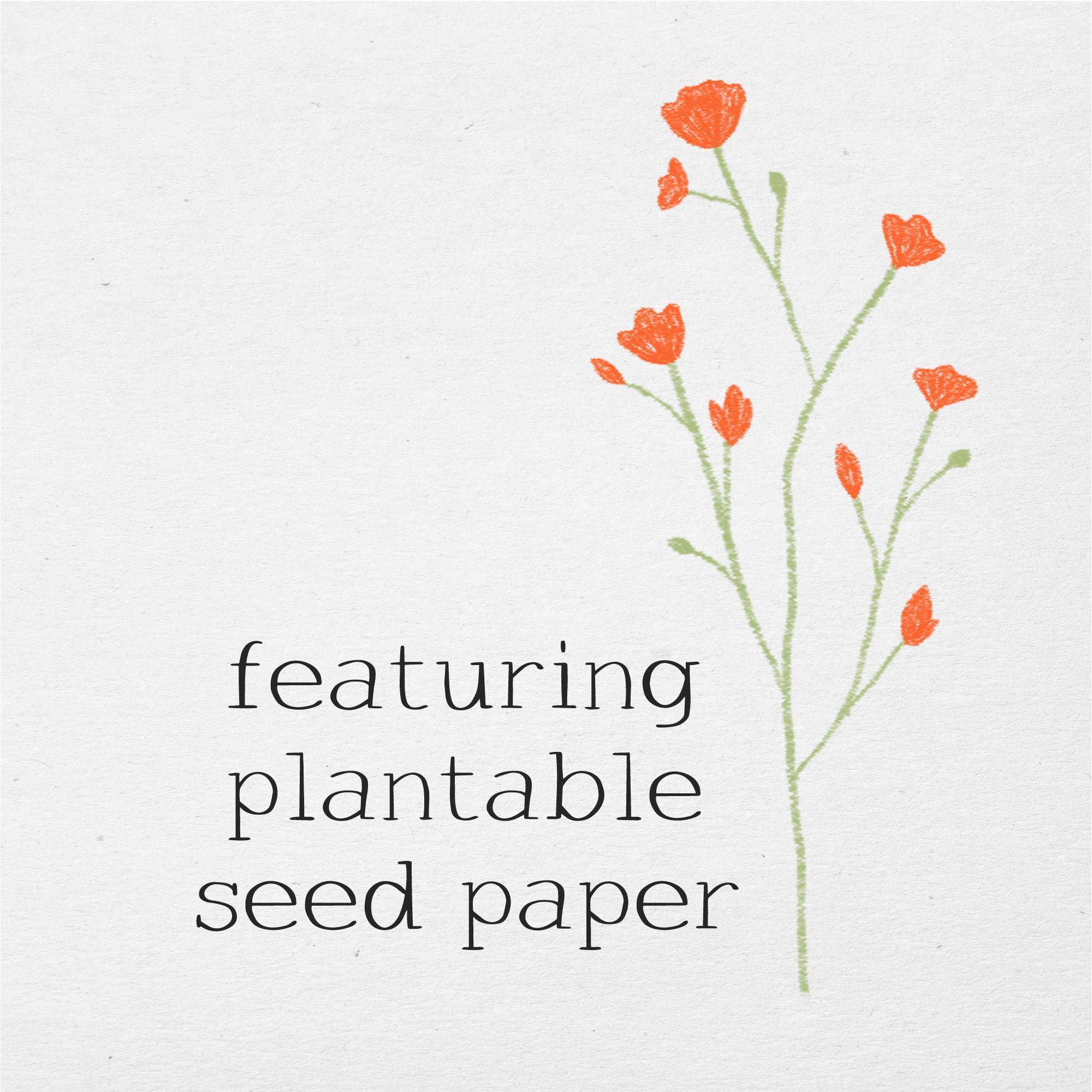 You're a One of a Kind Beauty, Happy Birthday - Plantable Card