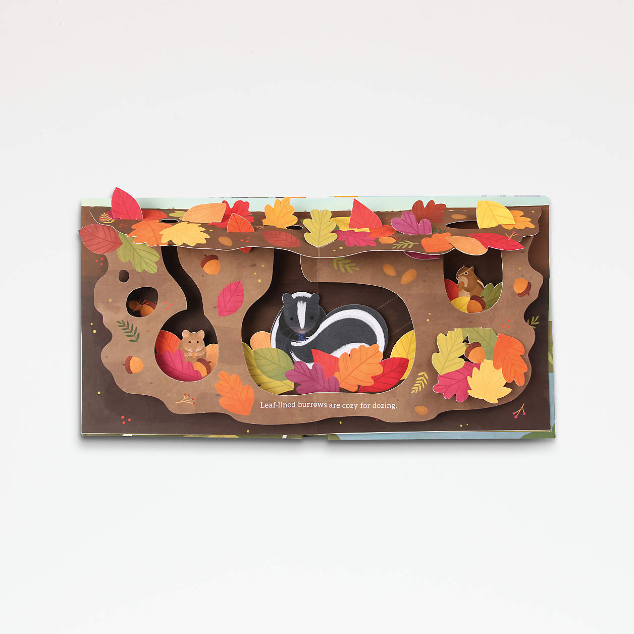 Leaves Autumn Pop-Up Book