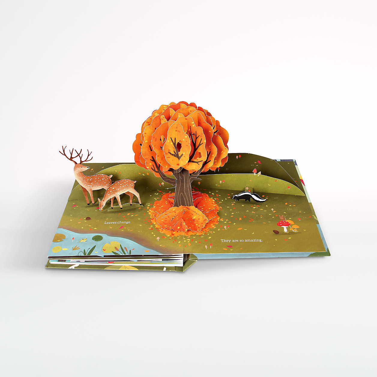Leaves Autumn Pop-Up Book