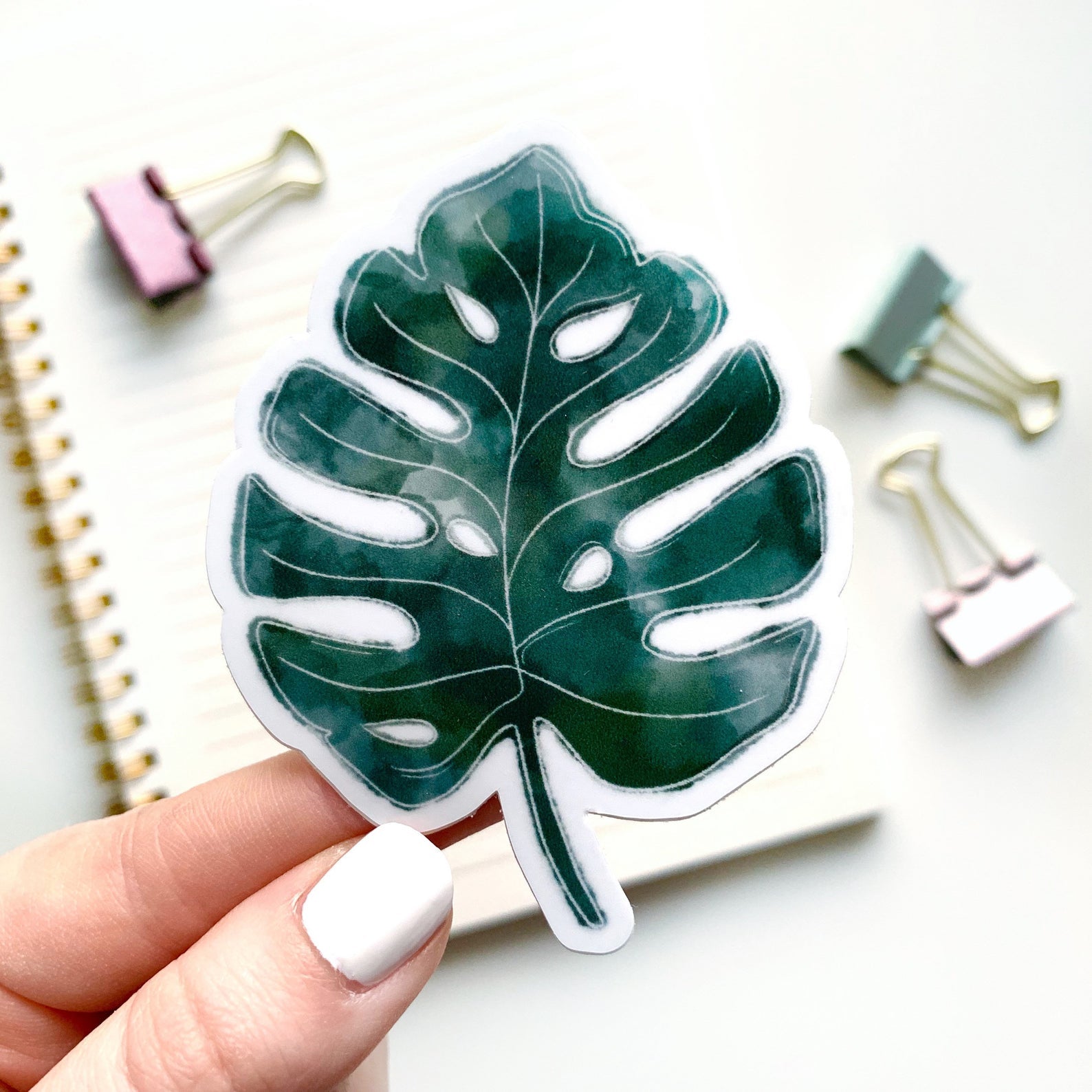 monstera sticker Watercolor Monstera Sticker