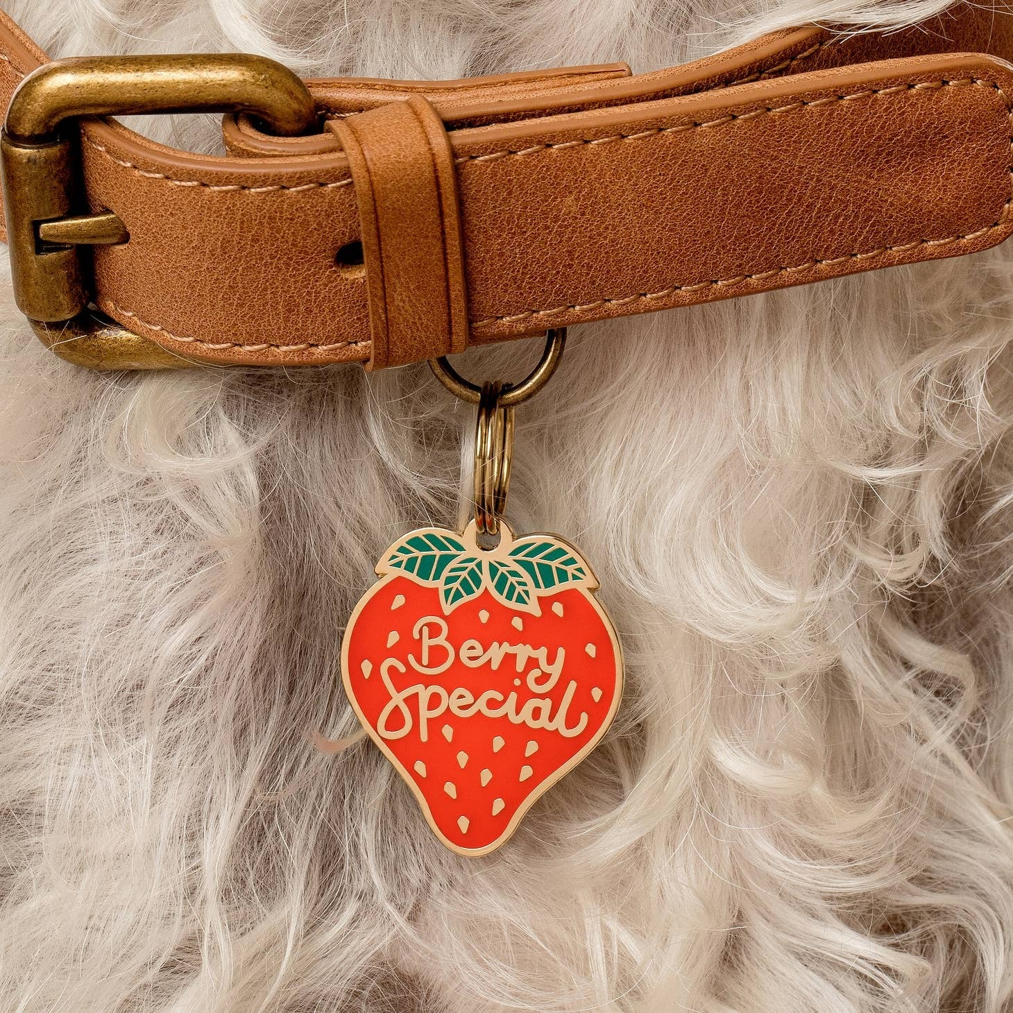 Berry Special Pet Id Tag