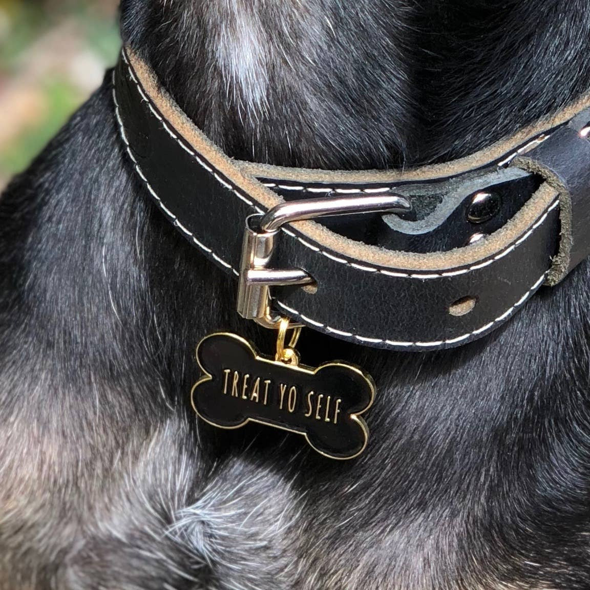 Black Treat Yo Self Pet Id Tag