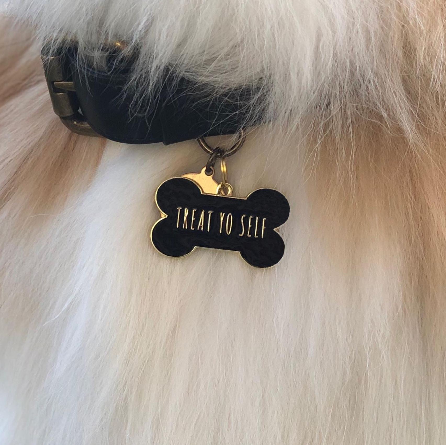 Black Treat Yo Self Pet Id Tag