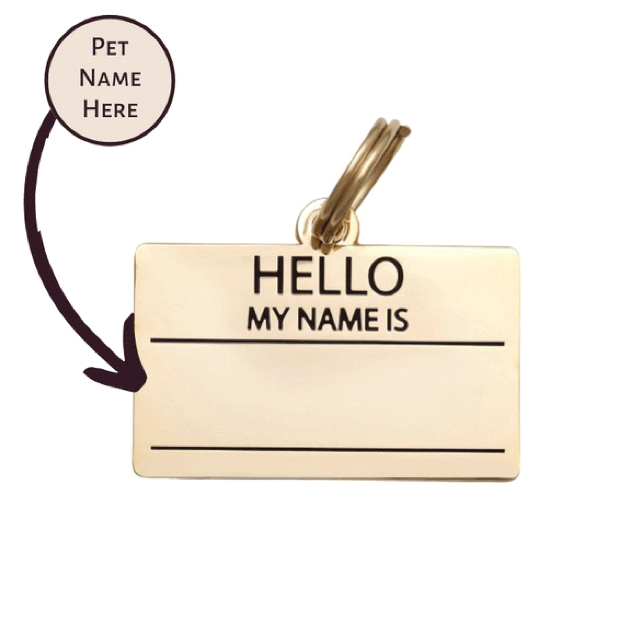 Hello My Name Is Pet Id Tag