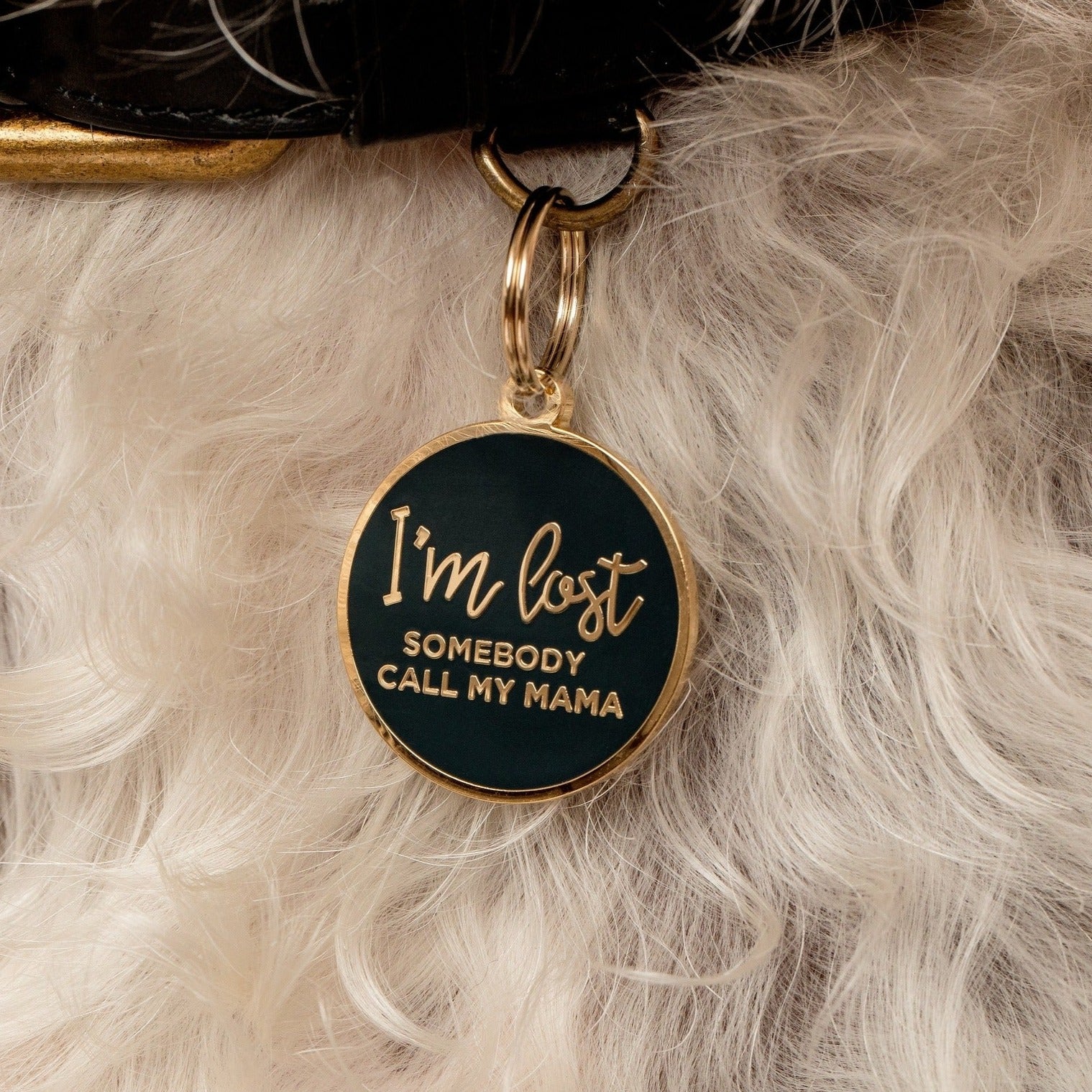 I'm Lost, Somebody Call My Mama Pet Id Tag