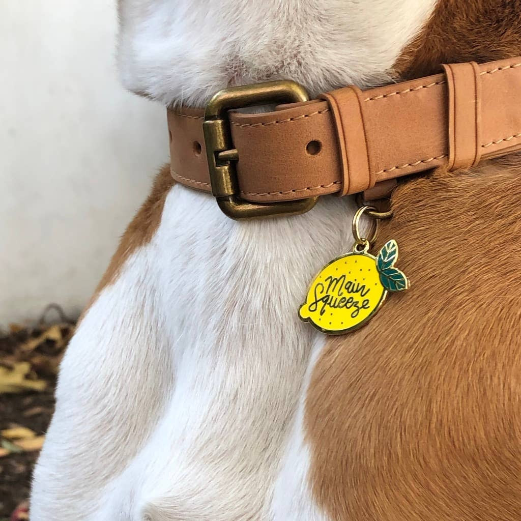 Main Squeeze Pet Id Tag