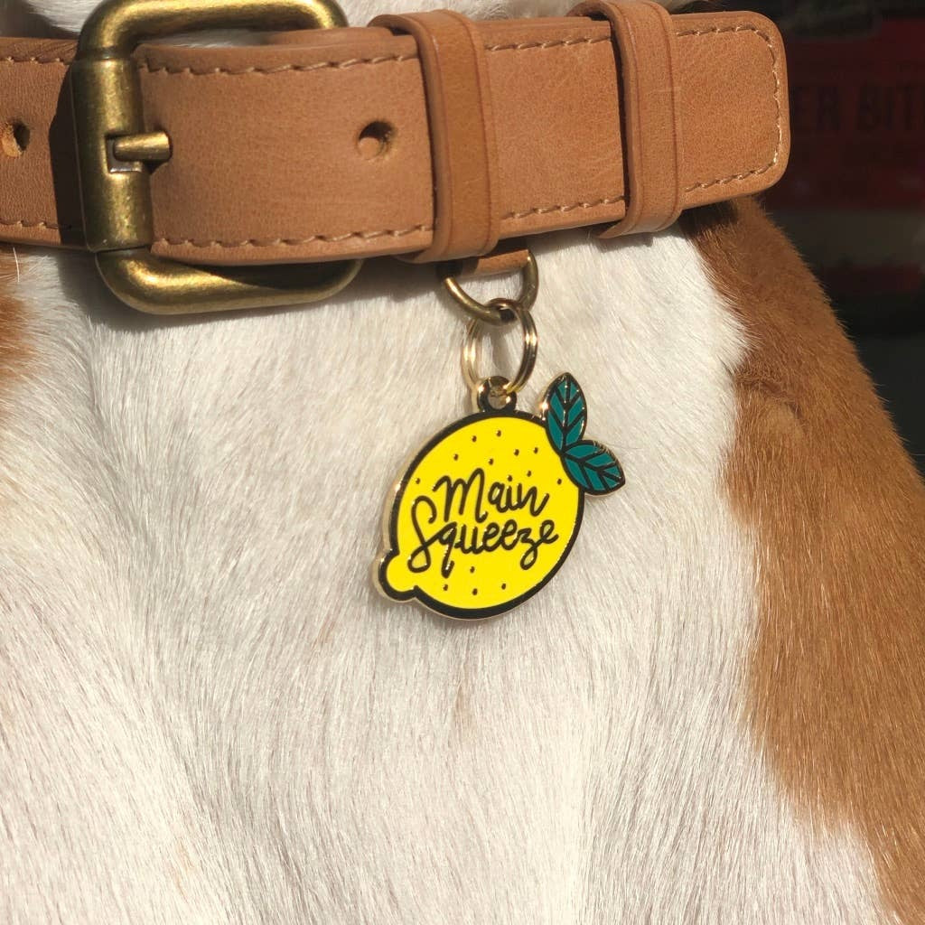 Main Squeeze Pet Id Tag