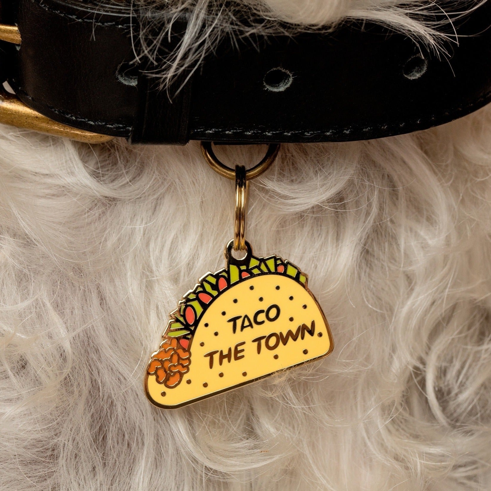 Taco the Town Pet Id Tag