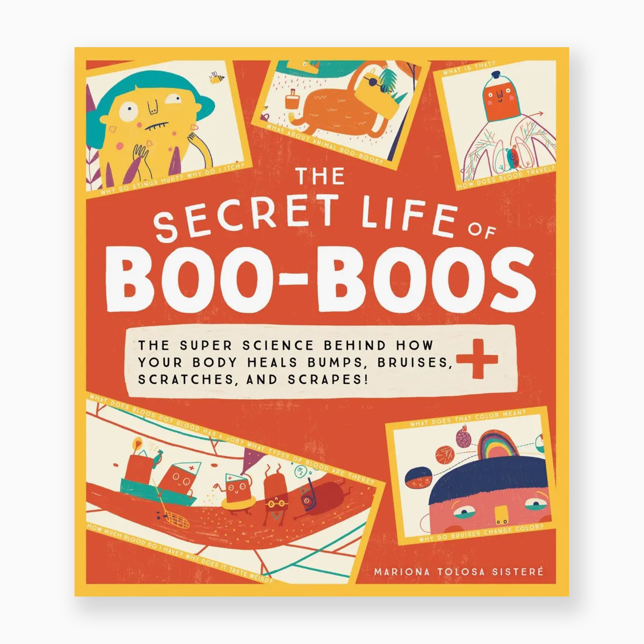 The Secret Life of Boo Boos Book