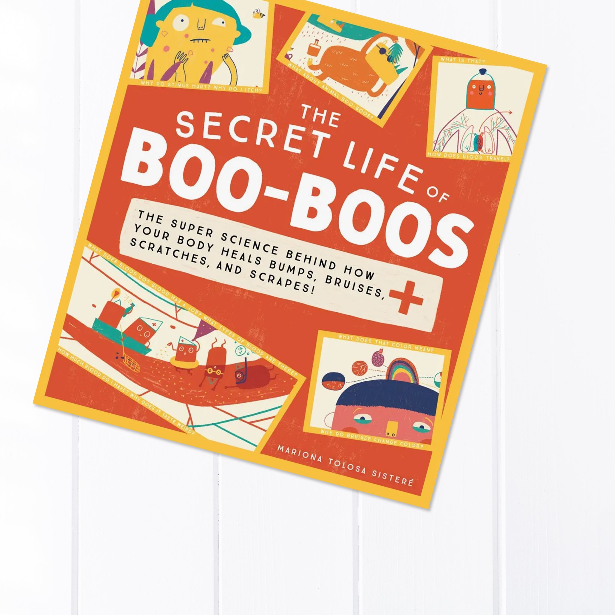 The Secret Life of Boo Boos Book
