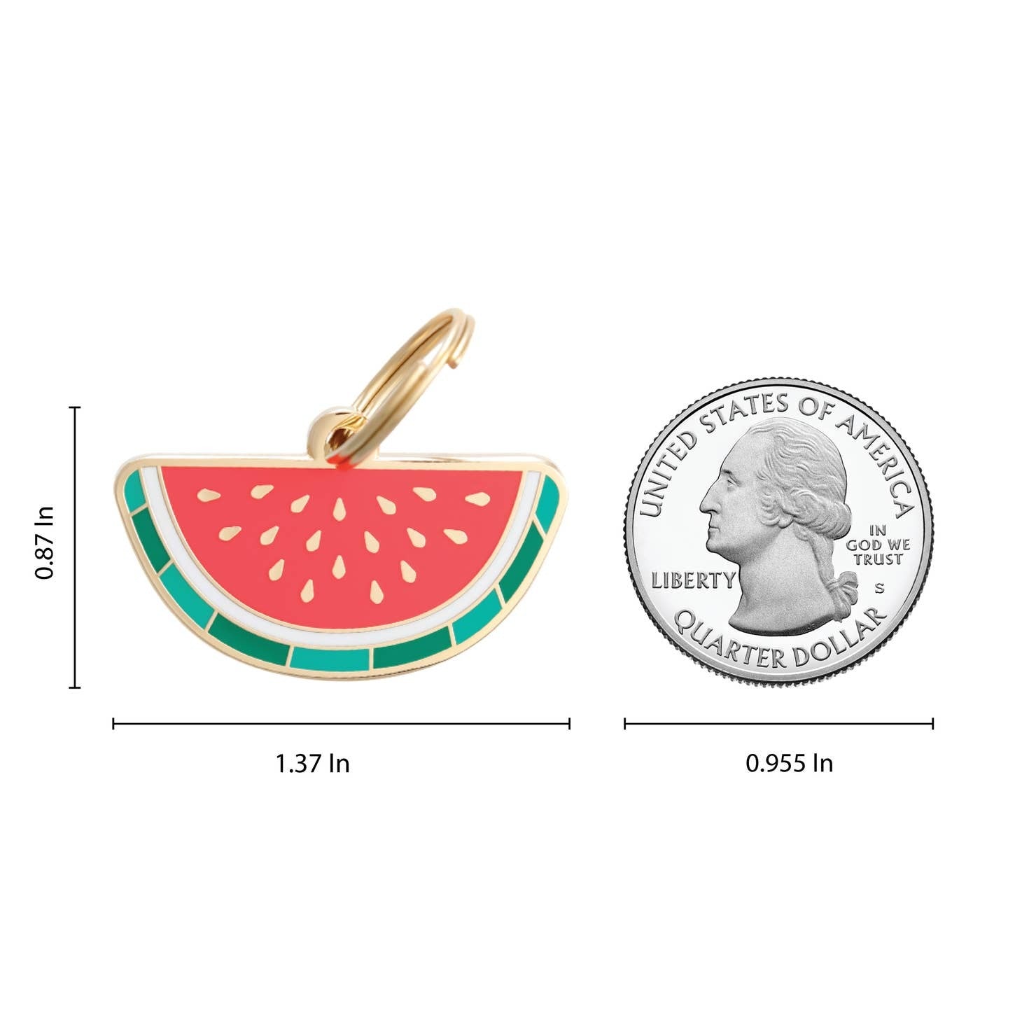 Watermelon Pet Id Tag