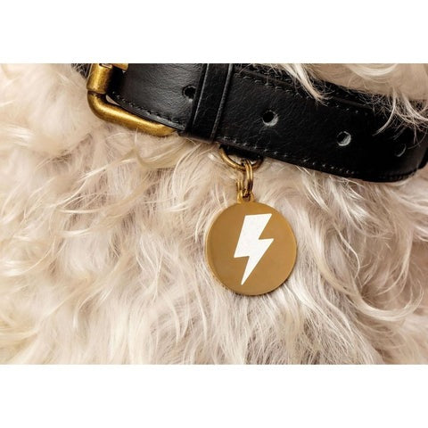 White & Gold Lightning Bolt Pet Id Tag