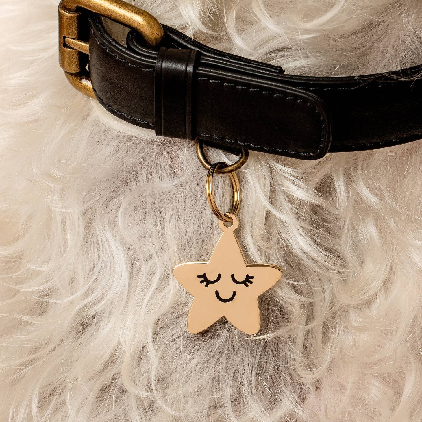 Gold Smiling Star Pet Id Tag