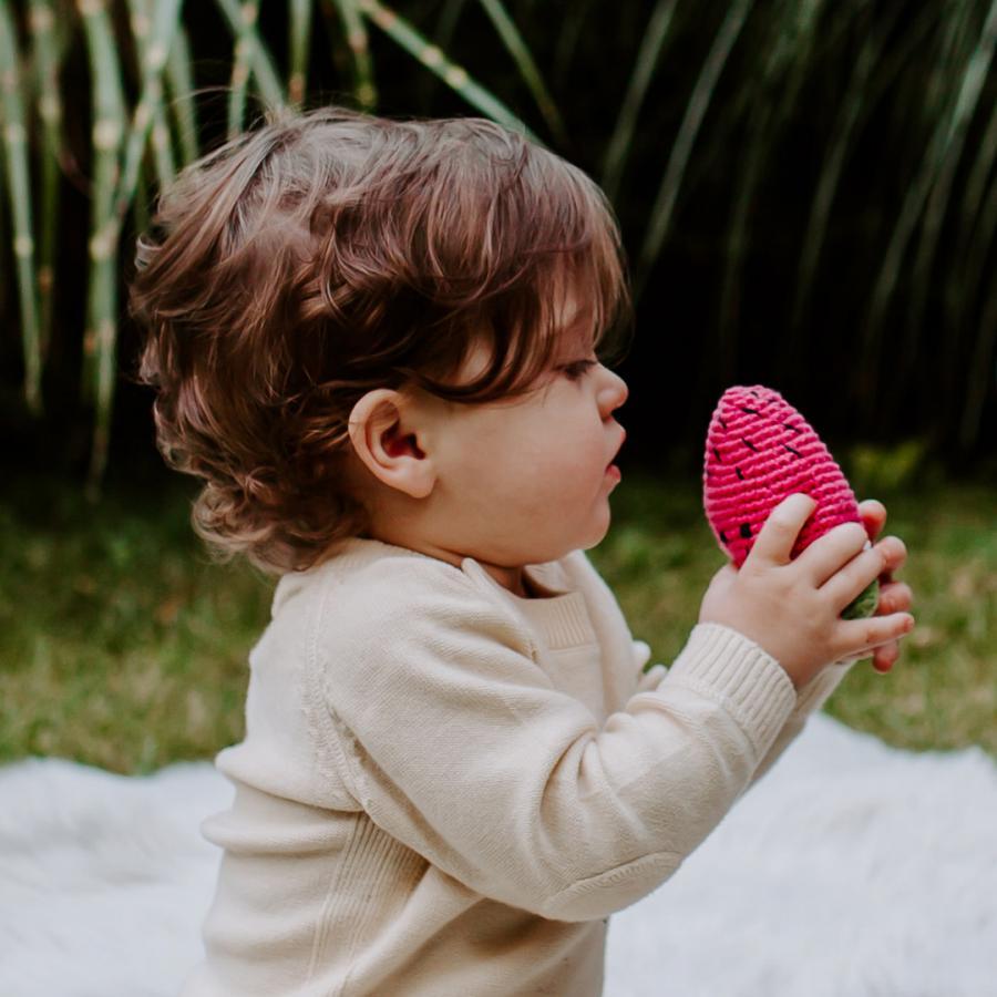 Friendly Crocheted Watermelon Rattle