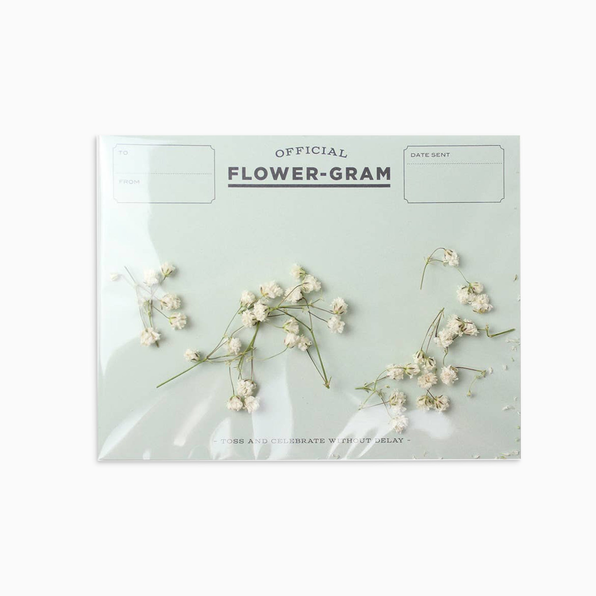 Flowergram Card - Baby's Breath