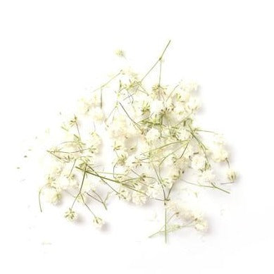 Flowergram Card - Baby's Breath