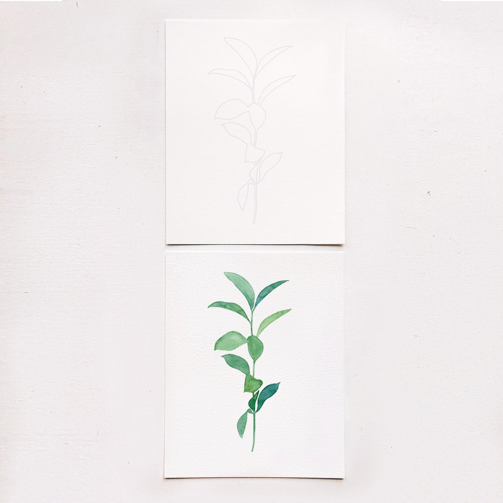 Botanical Watercolor Kit