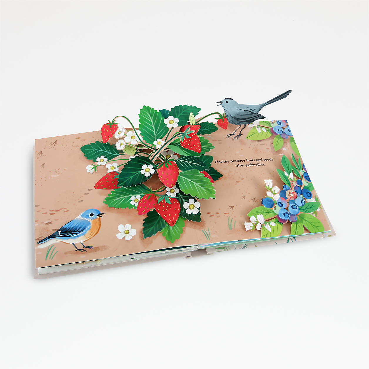 Flora Pop-Up Book