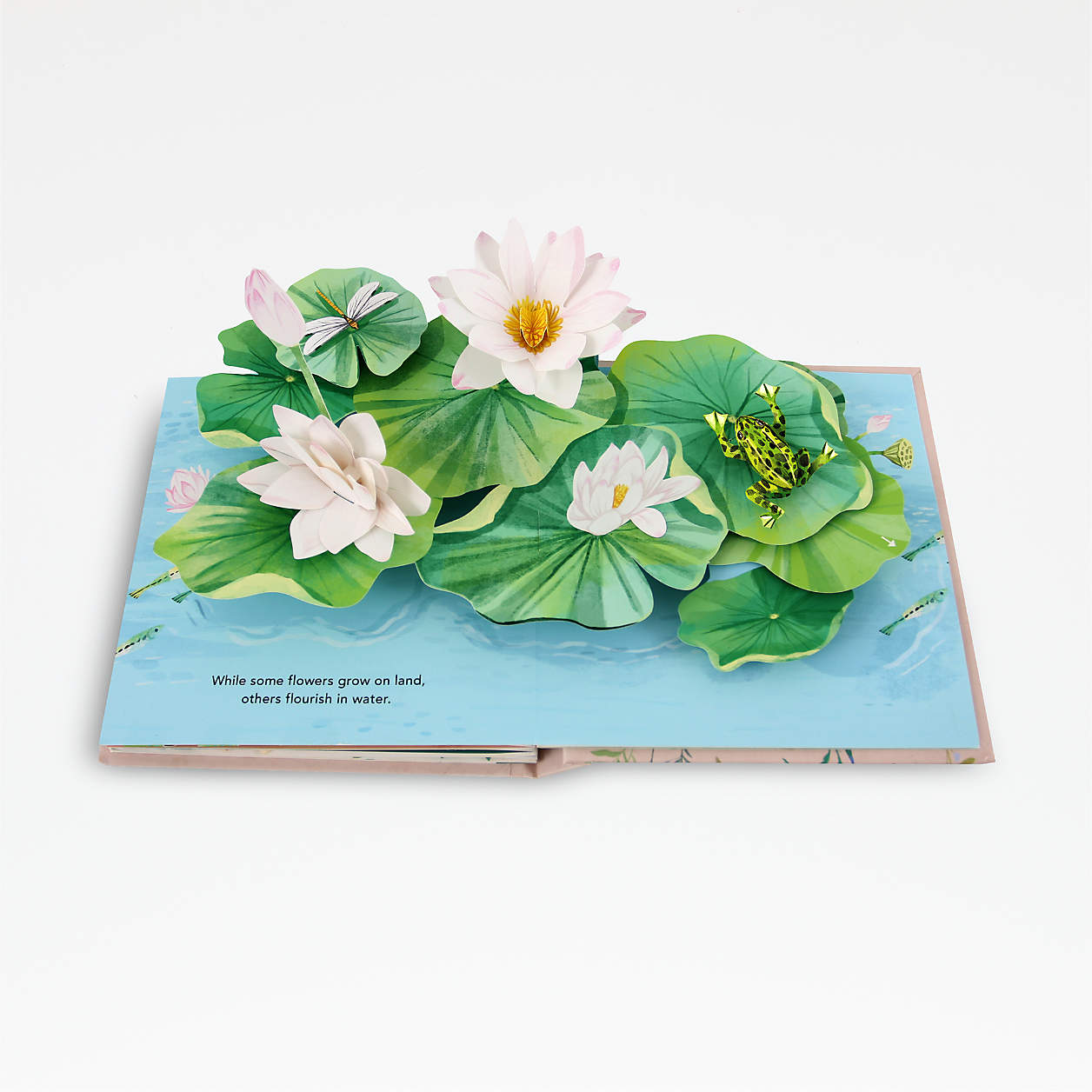 Flora Pop-Up Book