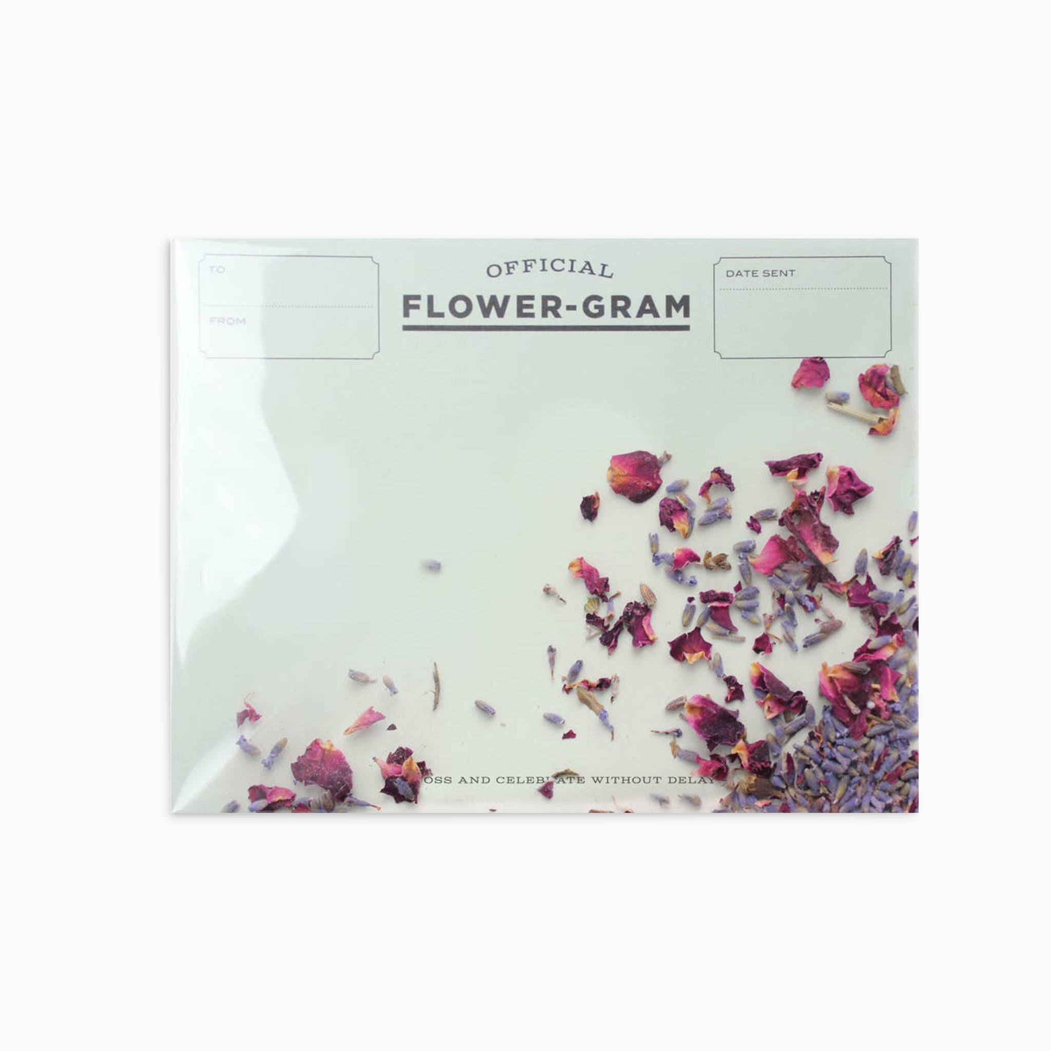 Flowergram Card - Lavender + Rose