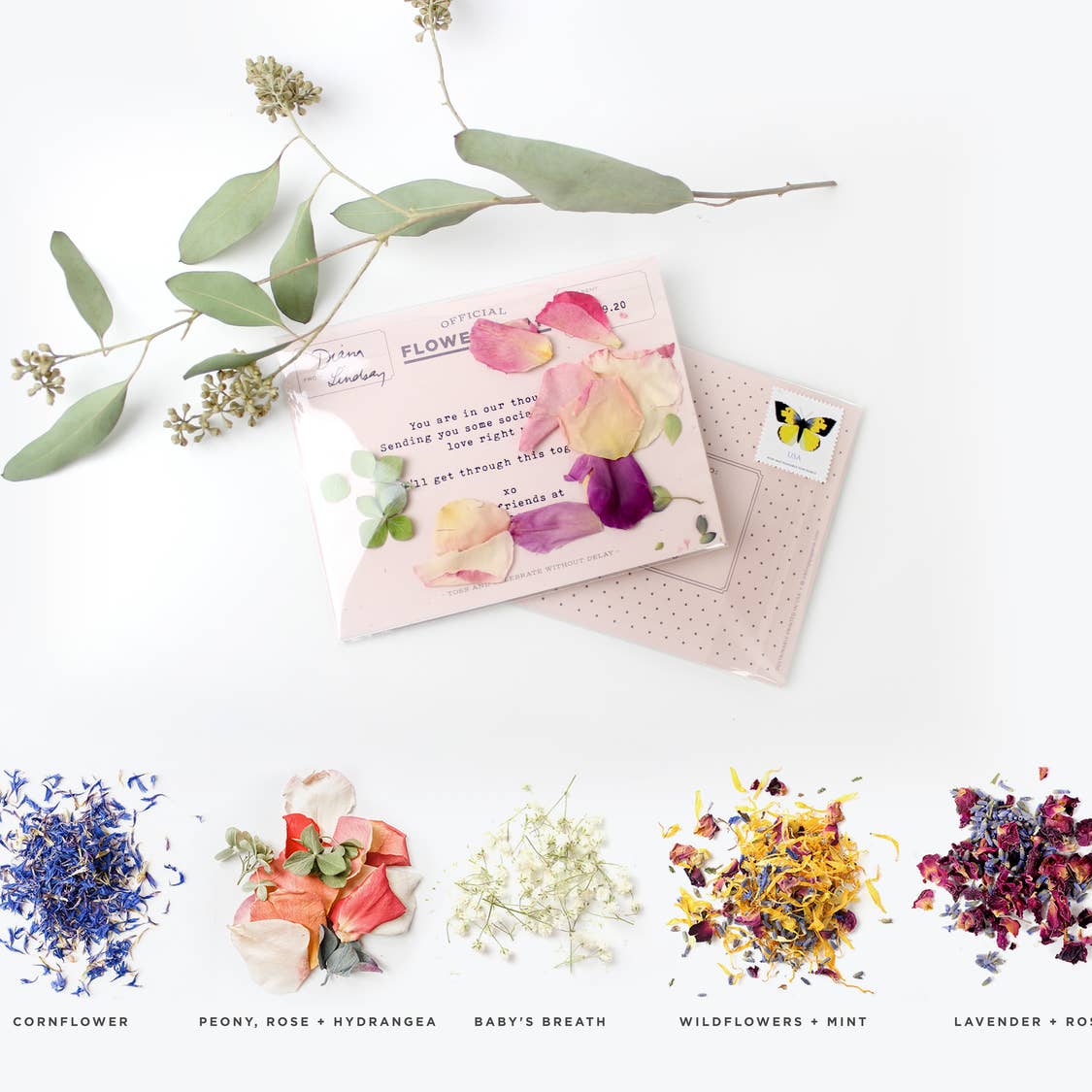 Flowergram Card - Lavender + Rose